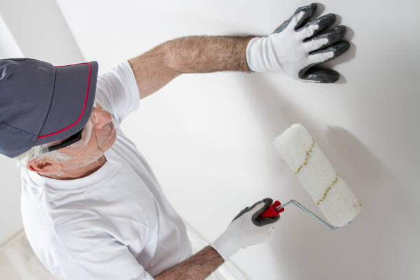 Best Post-Construction Mold Inspection  in Schler Park, IL
