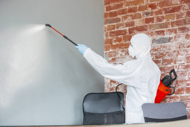 Best Airborne Mold Testing  in Schler Park, IL