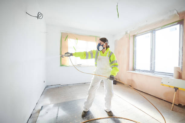 Best Basement Mold Removal  in Schler Park, IL