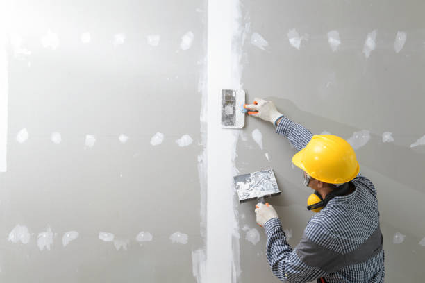 Best Commercial Mold Inspection  in Schler Park, IL