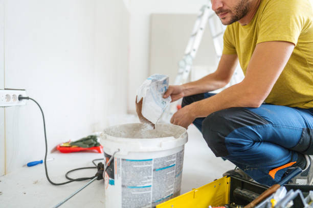 Best Water Damage & Mold Remediation  in Schler Park, IL