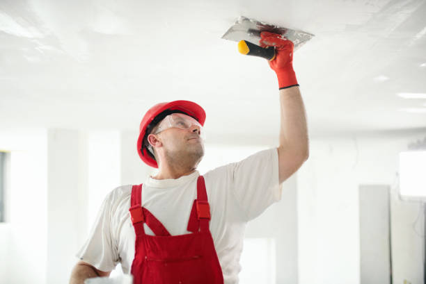 Best Emergency Mold Remediation  in Schler Park, IL