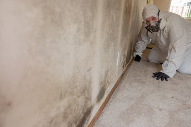 Asbestos and Lead Testing During Mold Inspection in Schiller Park, IL
