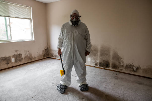 Biohazard Mold Removal in Schiller Park, IL
