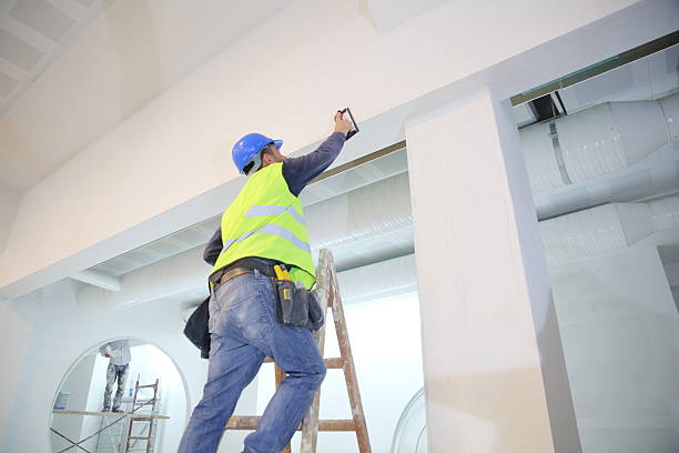 Best Residential Mold Inspection & Testing  in Schler Park, IL